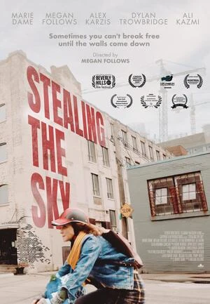 Stealing the Sky 2025 English Audio WEB-DL 720p – 480p – 1080p