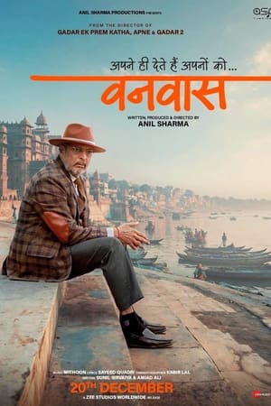 Vanvaas (2024) Hindi (DD5.1) WEB-DL 1080p – 720p – 480p