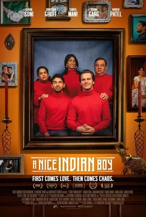 A Nice Indian Boy 2025 Hindi Dual Audio WEB-DL 720p – 480p – 1080p